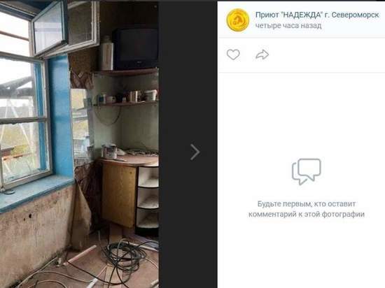 Североморский приют для животных разгромили вандалы