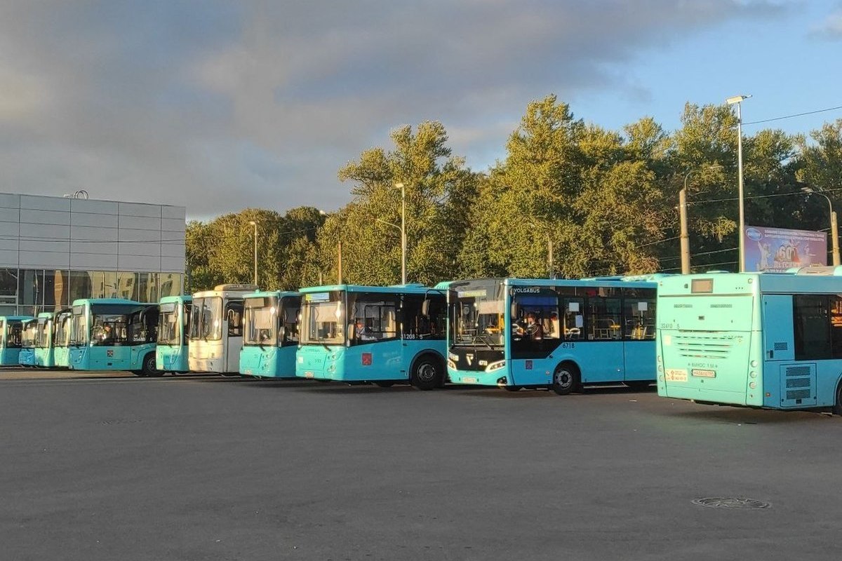 Автобус 207 просвещения кронштадт. Новые автобусы. Большой городской автобус. Новый общественный транспорт. Автобус 207.