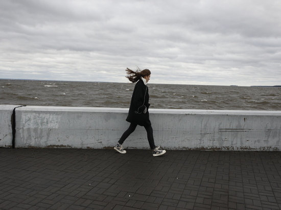 МЧС предупредило об усилении ветра в Петербурге 7 октября