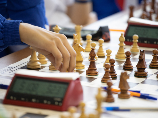 Самбо, шахматы, волейбол: крупные соревнования пройдут в Пскове на выходных