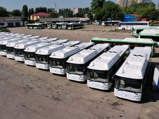 В Воронеже часть автобусного парка направили на нужды частичной мобилизации