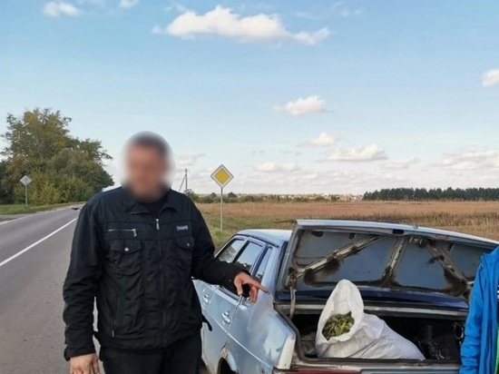 У жителя Орловской области в багажнике автомобиля нашли мешок дурман-травы