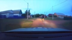 В Оренбургской области погоня за мотоциклистом попала на видео