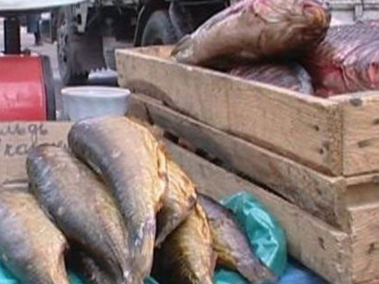 В Биробиджане прошел рейд по местам незаконной торговли рыбой