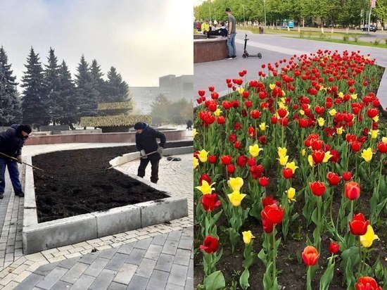 В Новокузнецке начали высаживать тюльпаны