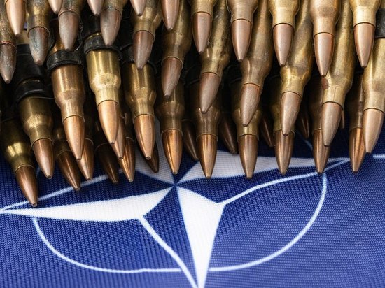 Federalist: вступление Украины в НАТО приведет к катастрофическим результатам