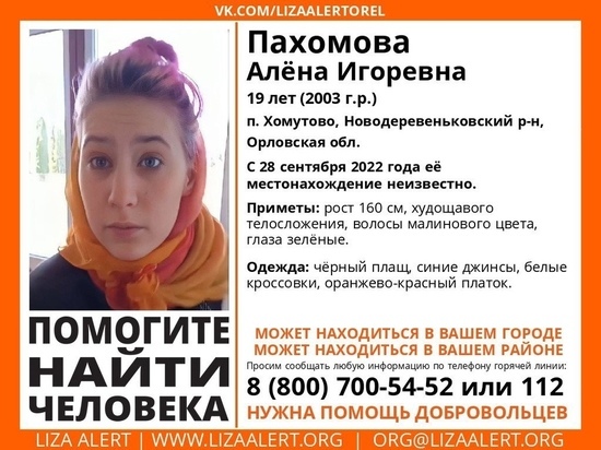 Тульские добровольцы ищут пропавшую 19-летнюю девушку из Орловской области