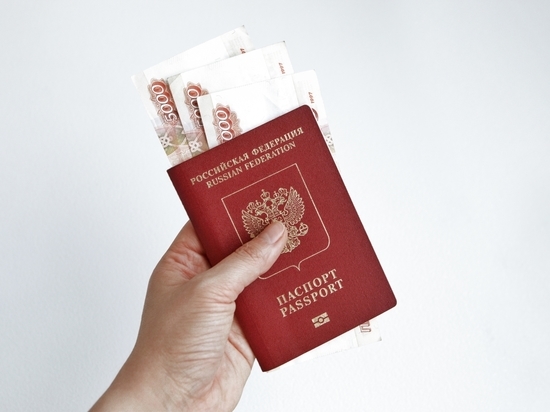 Житель Ржаксы взял кредит по паспорту приятеля и потратил деньги на себя