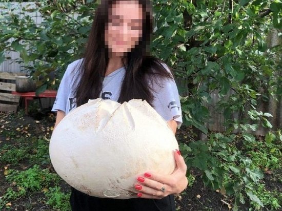Жительница Воронежской области нашла гриб весом в 6 килограмм