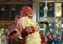 В Санкт-Петербурге на совещании губернатора Александра Беглова с членами городского правительства было принято решение об отмене общегородских новогодних и рождественских мероприятий. 