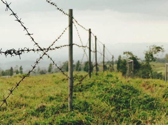 Польские пограничники получили средства на создание электронного заграждения на границе с Калининградом