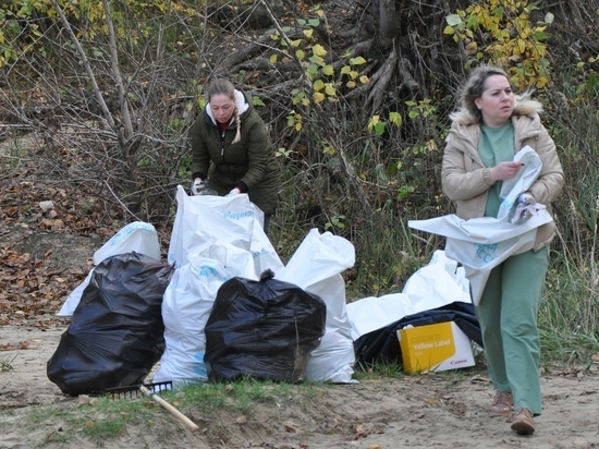 На Красненском карьере волонтёры Тамбова собрали 50 мешков мусора