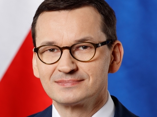 Премьер Польши предложил поделить замороженные активы России