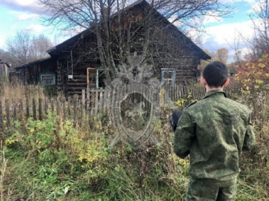 Костромские трагедии: в Нейском районе при пожаре погиб 64-летний мужчина