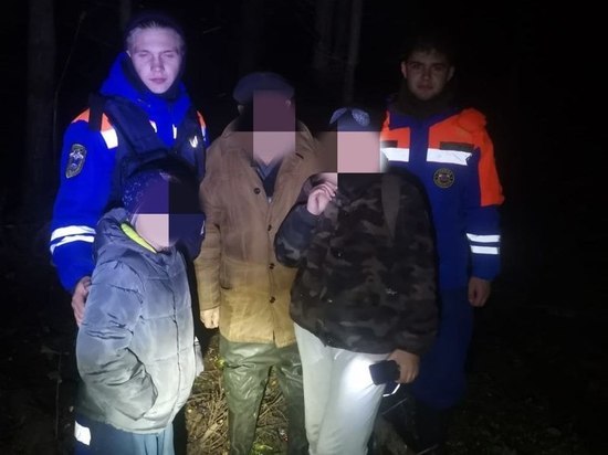 Спасатели искали семью грибников в лесу под Тосно в ночь на субботу