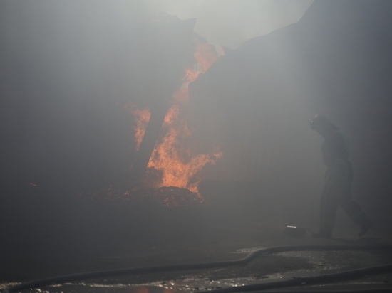Обгоревшее тело нашли в одном из домов в Гатчинском районе после пожара