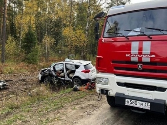 Двое владимирцев пострадали в аварии под Гусь-Хрустальным