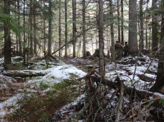 СК опубликовал фото с места гибели жительницы Сахалина от лап медведя