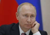 Власти США и европейских стран вызвали смех у президента России Владимира Путина "своей экологической показухой"