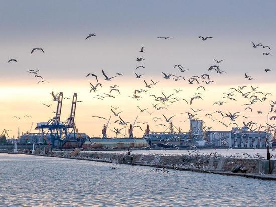 Из портов Украины вышли еще 13 судов с зерном