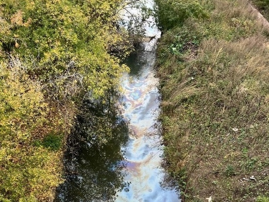 Экологи выясняют причину загрязнения реки Воронки в Туле