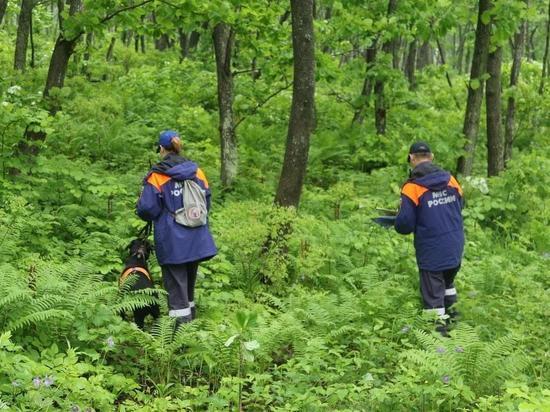 С начала года в лесах Рязанской области заблудились 33 человека