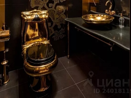 Квартира с «золотыми» унитазами в Красноярске три года не может найти себе хозяина