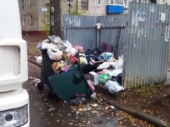 В Кирово-Чепецке не вывозили мусор из-за сломанных контейнеров