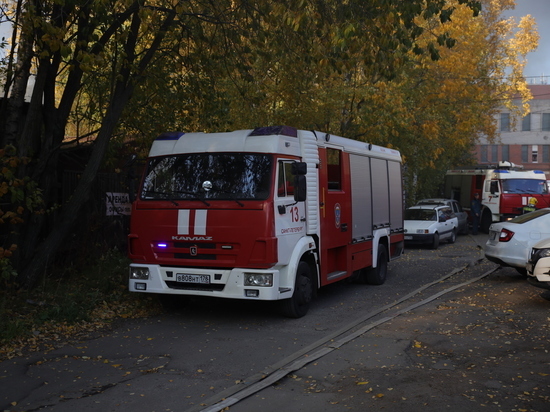 Пожарные почти полчаса тушили «ГАЗель» на Подвойского