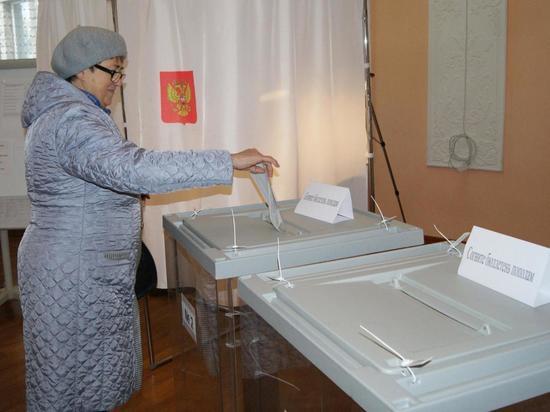 В Поморье проходят выборы в органы местного самоуправления