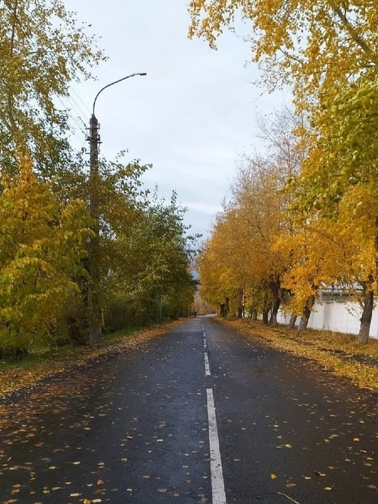 10 октября погода в Архангельской области останется без существенных изменений