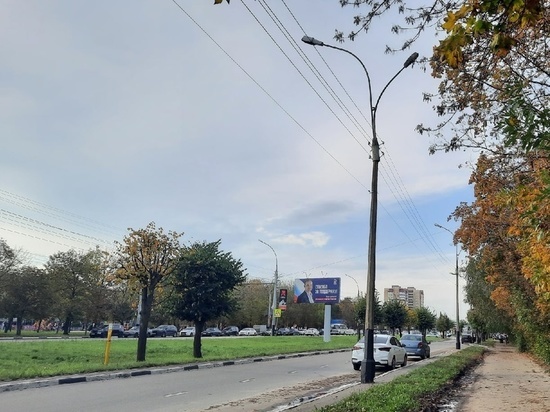 За минувшие выходные более 70 пешеходов в Тамбовской области нарушили правила перехода дорог