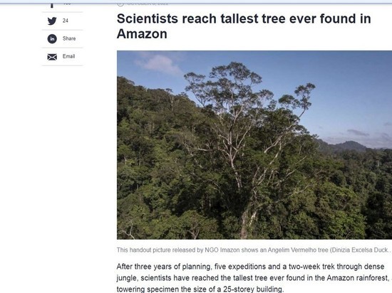 Ученые добрались до самого высокого дерева, когда-либо найденного на Амазонке
