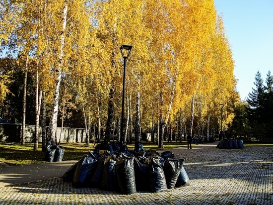 В Новосибирске назвали дату осеннего общегородского субботника