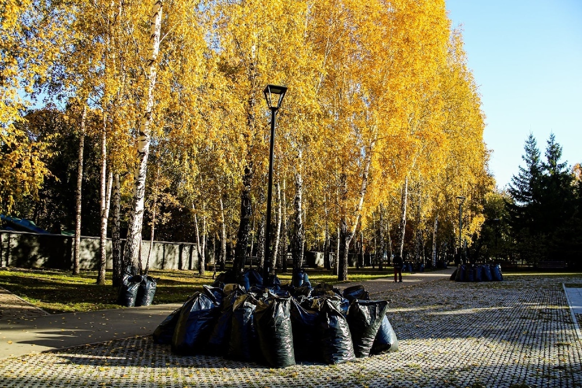 Осень дата. Осень в Новосибирске. Новосибирск осенью. Новосибирск в октябре. Осень в Эдемовом саду Новосибирск.