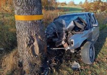 В Краснознаменском районе 10 октября 20-летняя водительница Mercedes врезалась в дерево на 37-м километре дороги «Щукино-Жилино-Лунино-Весново». Об этом сообщает пресс-служба ГИБДД по Калининградской области.