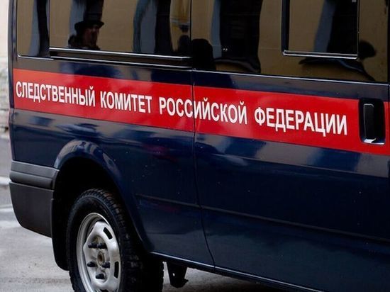 Ярославский охранник, ударивший ребенка, стал фигурантом уголовного дела