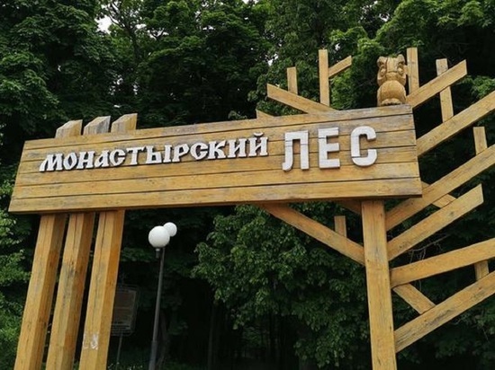 Белгородка пожаловалась на переполненные мусорки в Монастырском лесу