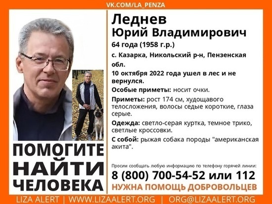 В Пензенской области разыскивают мужчину, который ушел из дома в лес с собакой, а обратно не вернулся