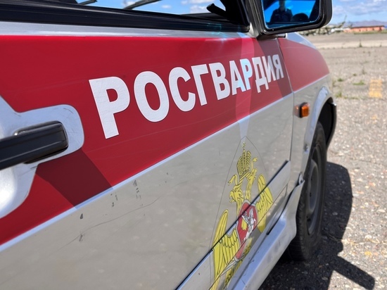 Росгвардейцы Тувы задержали подозреваемого в поножовщине