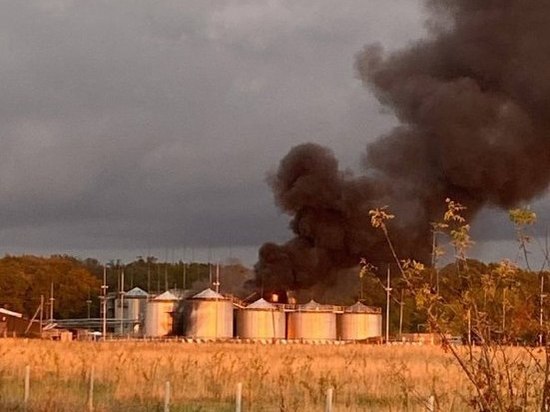 Глава соседней с Курской областью Белгородчины сообщил об обстреле ВСУ Белгородского района