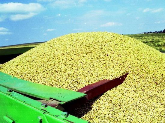 Замгенсека ООН приедет в Москву обсудить зерновую сделку