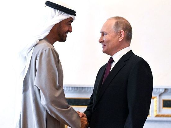 Президент ОАЭ озвучил Путину ряд позиций Украины