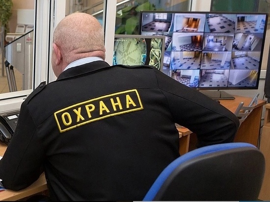 Владимирских ЧОПовцев оштрафуют на 4,8 миллиона
