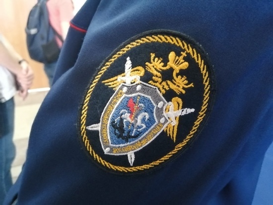 В СК рассказали подробности издевательства над 5-летним мальчиком в Новосибирской области