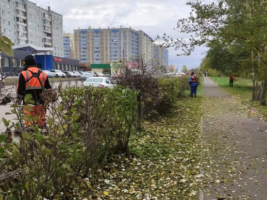 На улицах Красноярска все еще продолжают косить траву