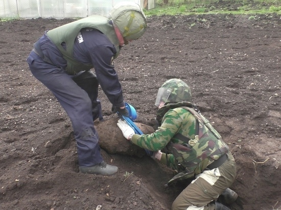 Жители Орловщины нашли 12 взрывоопасных предметов времён войны