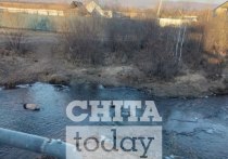 В Читинском районе в реке Карповке нашли тело мужчины