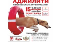 Вероятно в последние теплые выходные этой осени Барнаульская городская общественная организация «Ласка» приглашает владельцев и просто любителей собак на любопытные мероприятия: соревнования по Аджилити и дог-шоу «Я и моя собака»