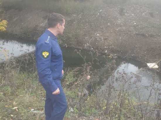 Прокуратура Тульской области проверила состояние реки Воронки